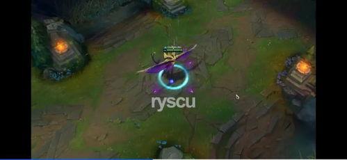 巴西老哥最新爆料视频在线观看,揭秘幕后真相，带你领略真实世界  第3张