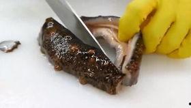 海参厨师爆料视频大全,独家爆料视频大全背后的烹饪奥秘  第2张